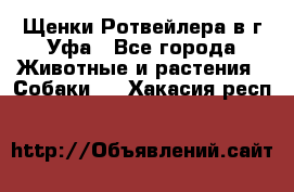 Щенки Ротвейлера в г.Уфа - Все города Животные и растения » Собаки   . Хакасия респ.